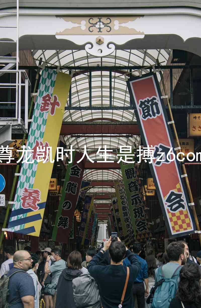 尊龙凯时人生是搏z6com