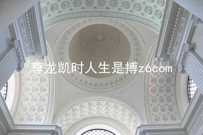 尊龙凯时人生是搏z6com