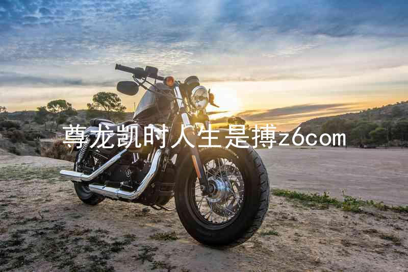 尊龙凯时人生是搏z6com